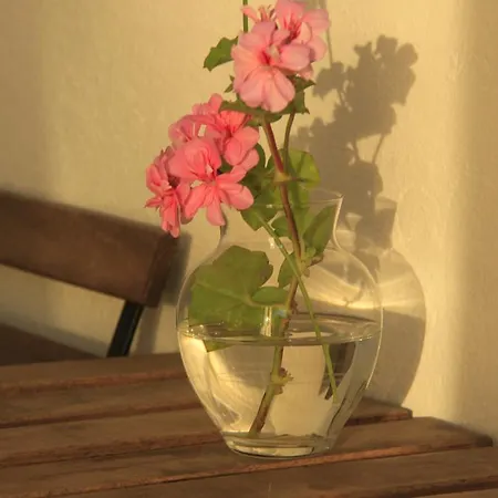 Casa La Pineta Patresi Πανσιόν La Guardia