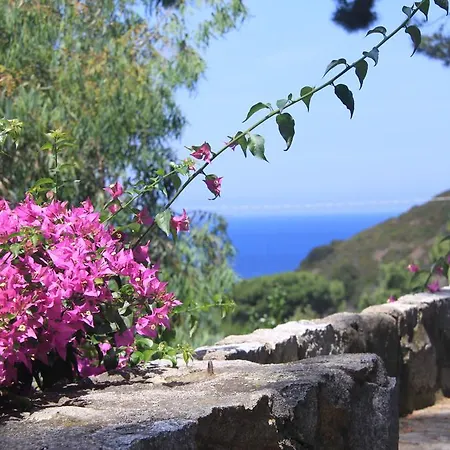Casa La Pineta Patresi La Guardia