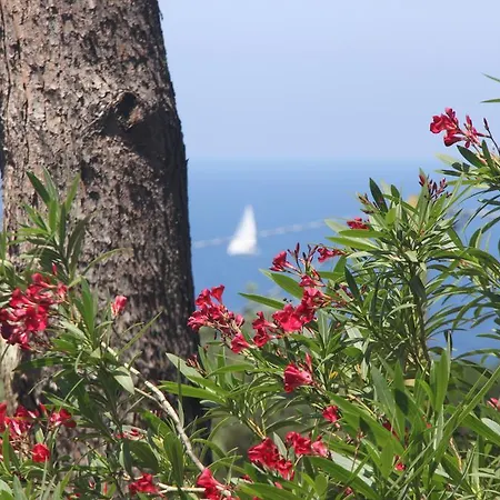 Casa La Pineta Patresi Πανσιόν