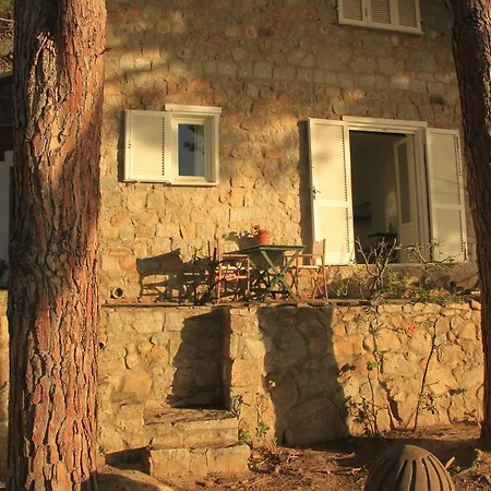 Guest house Casa La Pineta Patresi *