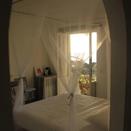 Casa La Pineta Patresi Guest house